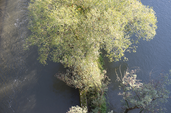 Limmat von der Hochbrücke aus