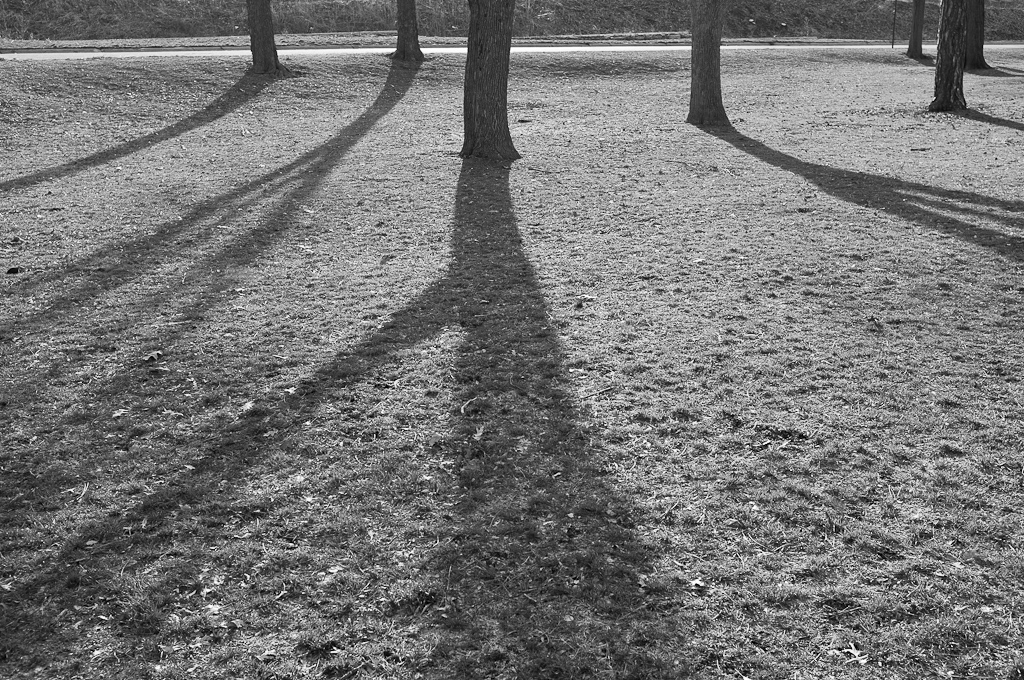 Schattenwurf im Antelope Park
