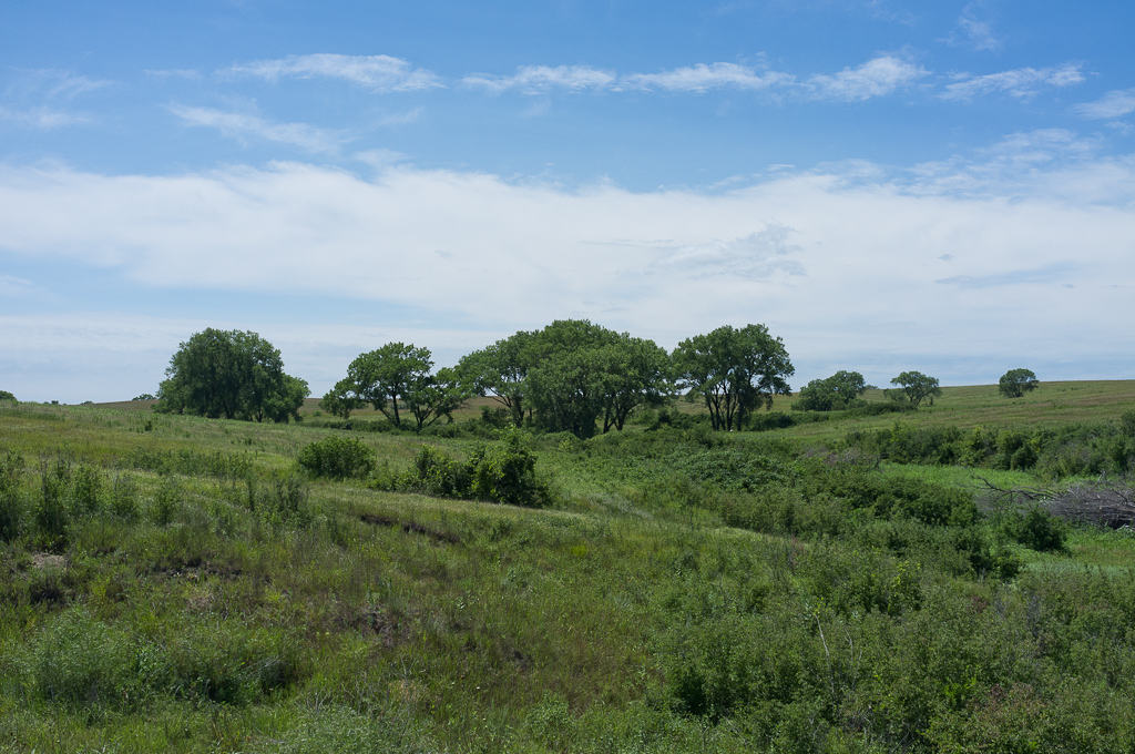 Serengeti in Nebraska?