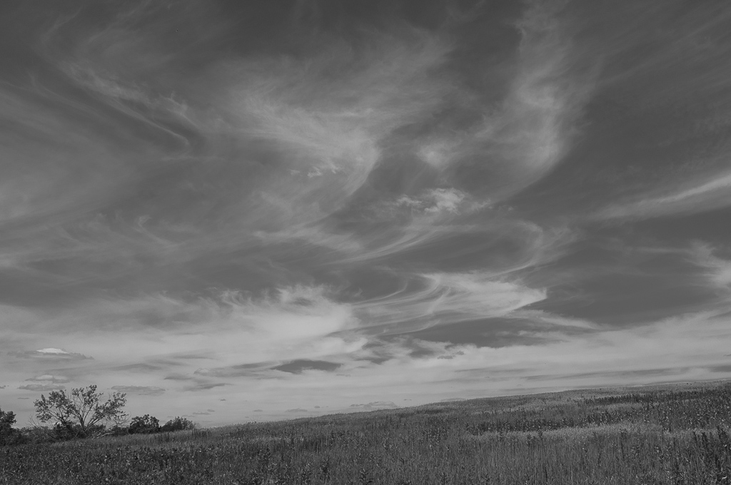Spring Creek Prairie