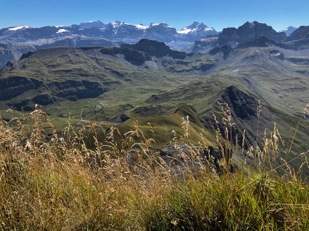 Ausblick vom Wasserbergfirst in Richtüng Süd-Südost.