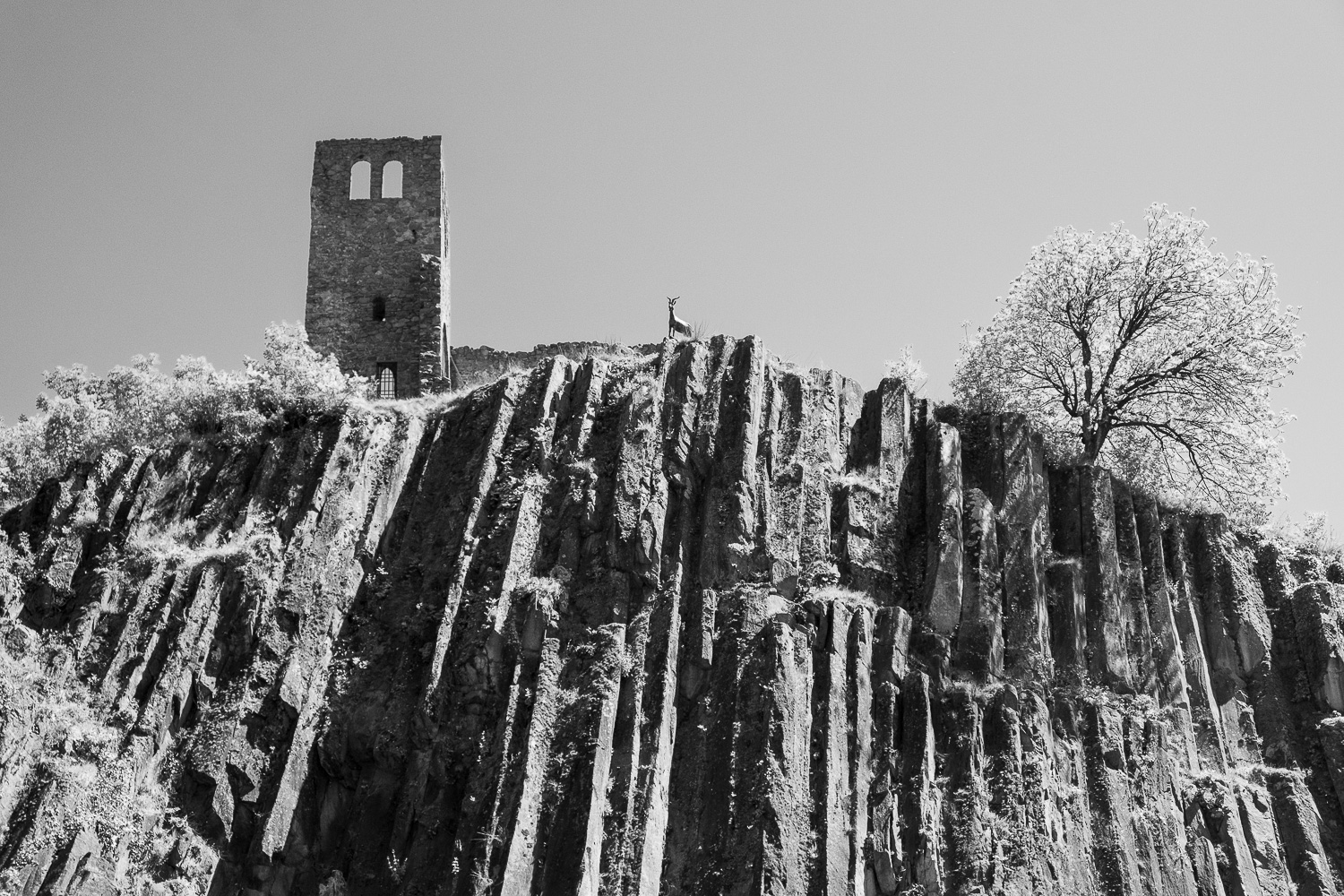 Der Brenner – Teil II